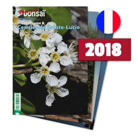 Abonnement France Bonsaï année 2017 (FRANCE)