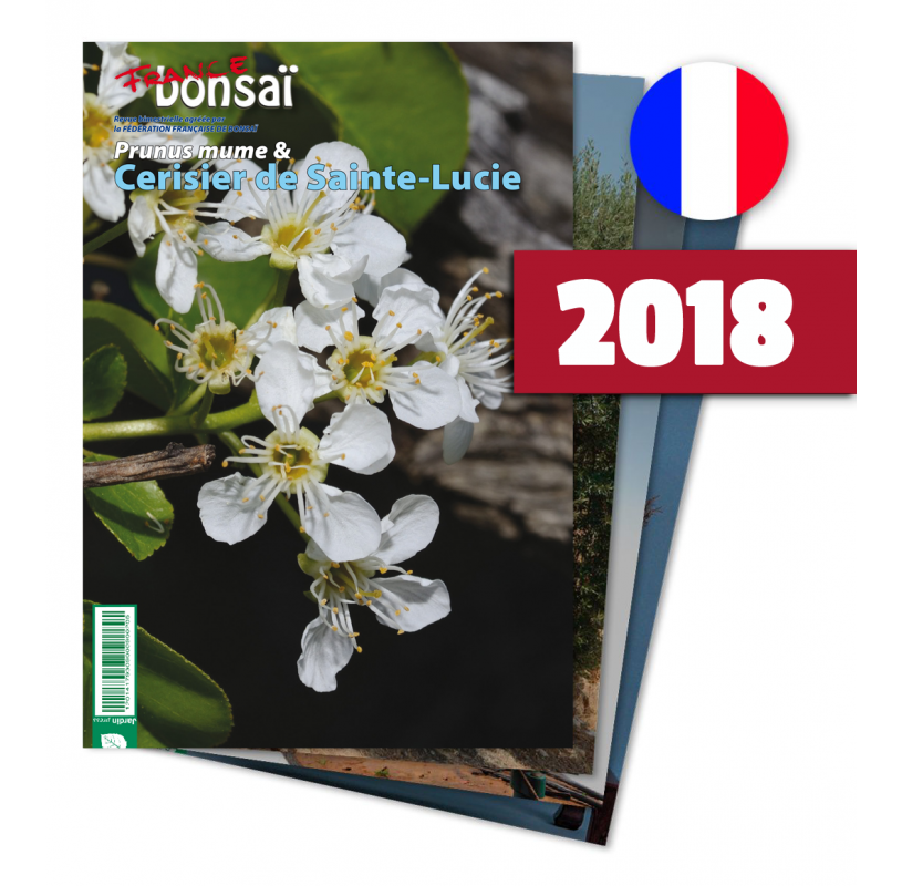 Abonnement France Bonsaï année 2017 (FRANCE)