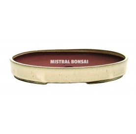 Pot ovale pour bonsaï 34x24x4.6 cm crème