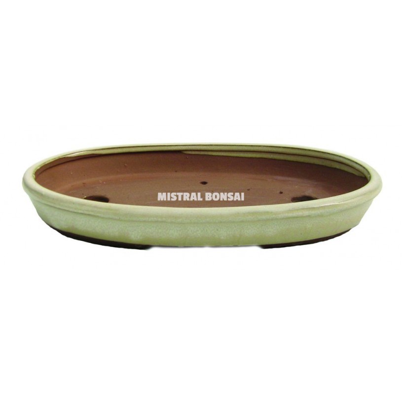 https://media.mistralbonsai.com/tienda/2970-large_default/oval-ceramic-bonsai-pot-of-26-cm-cream.jpg