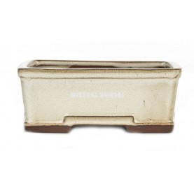 BASIC CLASS Rectangular bonsai pot 16 cm (6'') cream