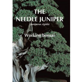 Libro The needle juniper (ENG)