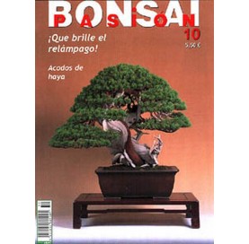 Nº 10 - Zeitschrift BONSÁI...