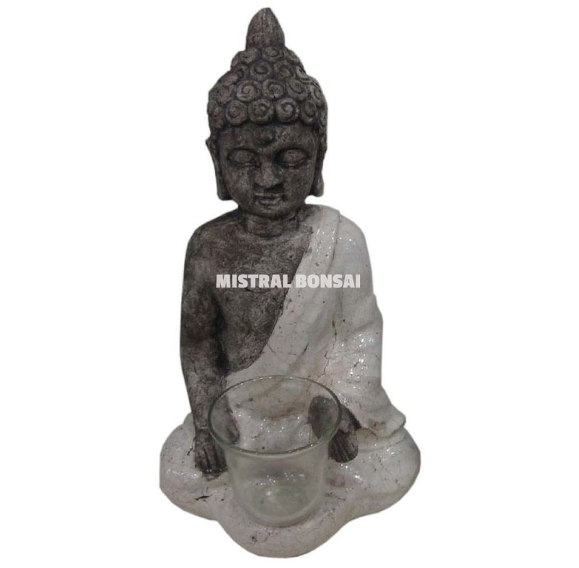 Dharma Buddha with robe maxi