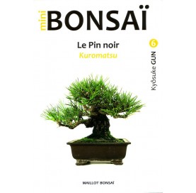 Buch MINI BONSAI: Le Pin noir / Kuromatsu (FR)