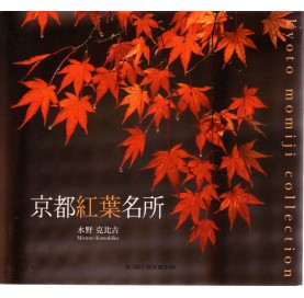 Kyo¯to Ko¯yo¯ Meisho Book