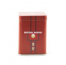 Asian-style Tea Tin “Red...