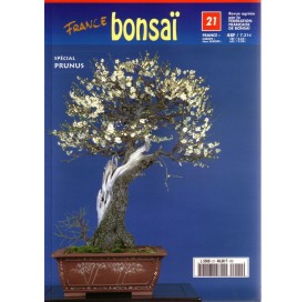 Nº 21 - FRANCE BONSAI