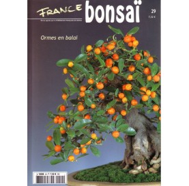 Nº 29 - FRANCE BONSAI -...