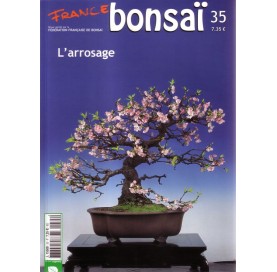 Nº 35 - FRANCE BONSAI