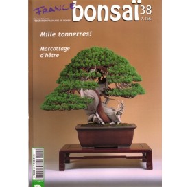Nº 38 - FRANCE BONSAI