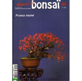 Nº 40 - FRANCE BONSAI -...