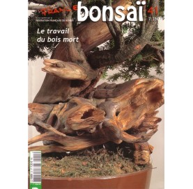 Nº 41 - FRANCE BONSAI
