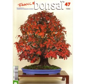 Nº 47 - FRANCE BONSAI