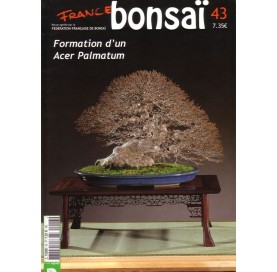 Nº 43 - FRANCE BONSAI -...