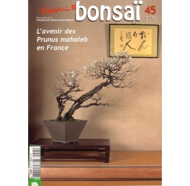 Nº 45 - FRANCE BONSAI....