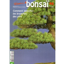 Nº 46 - FRANCE BONSAI -...