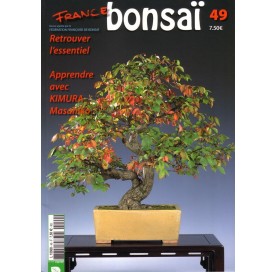 Nº 49 - FRANCE BONSAI
