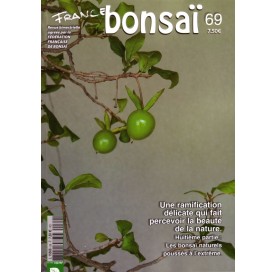 Nº 69 - FRANCE BONSAI