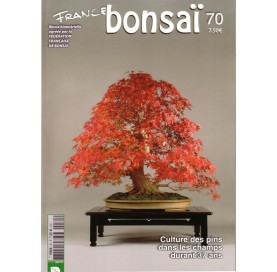 Nº 70 - FRANCE BONSAI