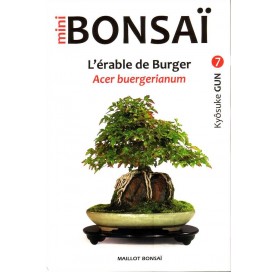 Buch MINI BONSAI: L'érable de Burger / Acer Buergerianum (FR)