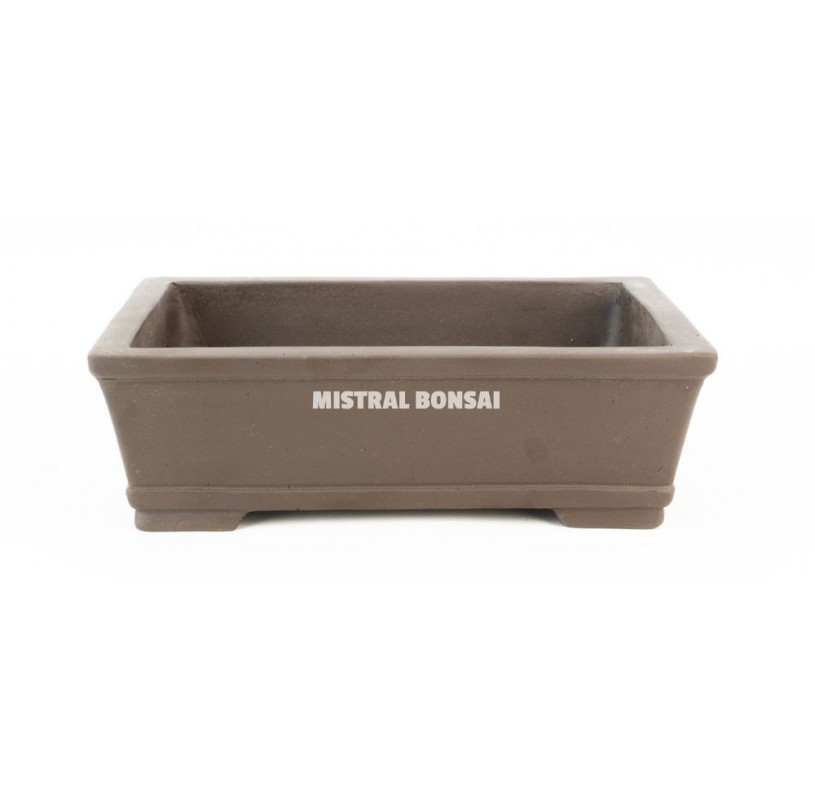 Pot basic classic rectangle - 15 cm avec plateau Mistral Bonsai
