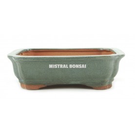 Maceta para bonsái