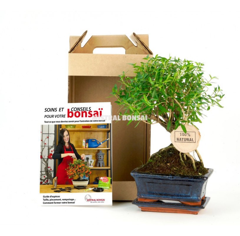 Trousse outils bonsai - Vente de trousse à outils pour bonsai en cuir