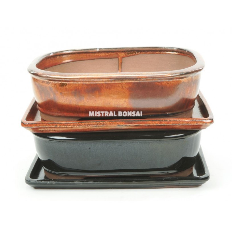 Pot basic classic rectangle - 15 cm avec plateau Mistral Bonsai