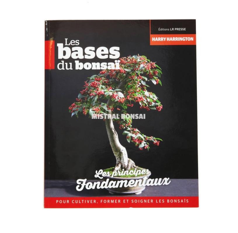 Livre Les bases du bonsaï (FR)