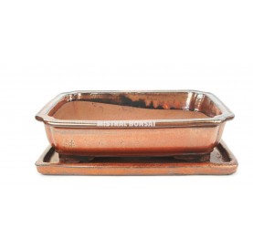 BASIC Rectangular bonsai pot 35 cm with saucer. Oxide.