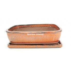 BASIC Rectangular round edges bonsai pot 37 cm with saucer. Oxide.