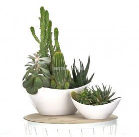 Tiesto para cactus oval en color blanco de plástico de 20 cm.