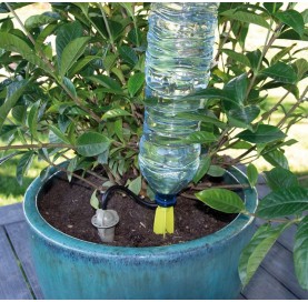 Drip irrigation system for bonsai trees