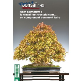 Nº 143 FRANCE BONSAÏ