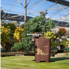 Square/cascade bonsai pot 12 cm (5") unglazed