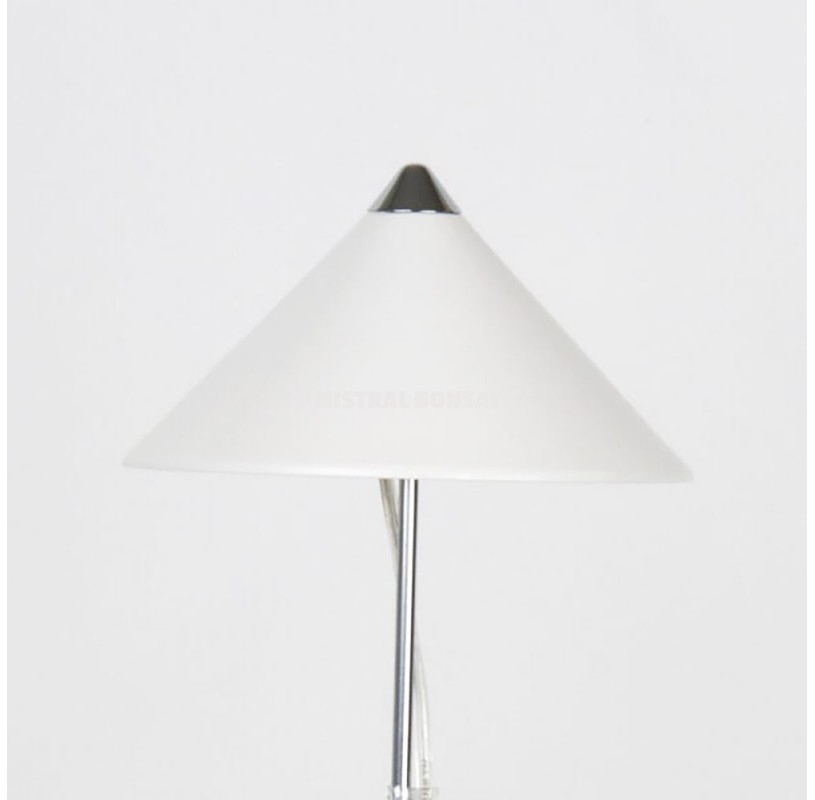 LED lamp for plants 7w white