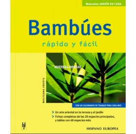 Buch BAMBÚES RÁPIDO Y FÁCIL...