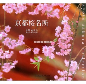 Libro Kyoto Sakura...