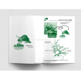 Libro Los olivos en bonsái