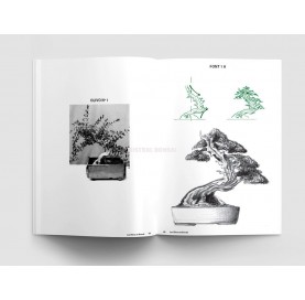 Livre Los olivos en bonsái (ESP)