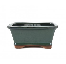 Rectangular bonsai pot 21 cm green