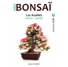 Buch MINI BONSAI: Les...
